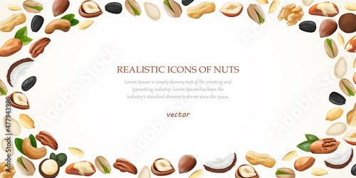 Background for banner, poster, etc. Vector horizontal graphic of realistic nuts laid out on the edge of the illustration.