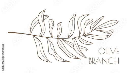 Olive branch vector in doodle, sketch style. Ink, pencil hand drawn olive tree, leaves for wrapper pattern, logo, frame or border.