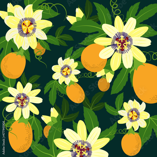Passion fruit vector illustration with color