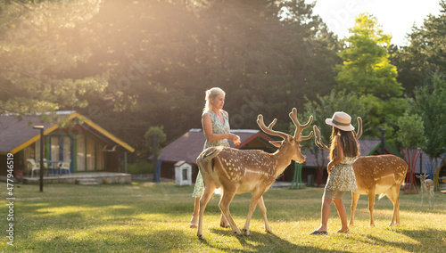 Photo of a young girl feeding deer and hugs him