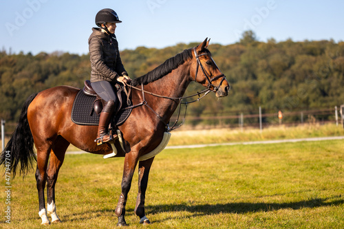 Horse with rider on a meadow in riding clothes in color in landscape format, photographed from the side, horse and rider look to the right.. © RD-Fotografie