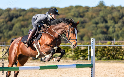 Horse with rider jumping over an obstacle during training..