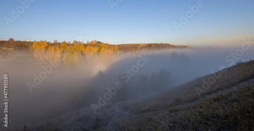 Autumn landscape with early morning fog. Birch trees with bright yellow foliage illuminated by the sun. Trees and hills in the fog. Dawn on a cold autumn morning.