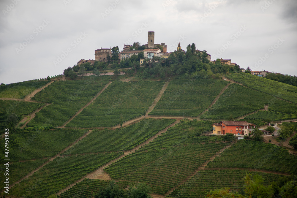 Naklejka premium Langhe