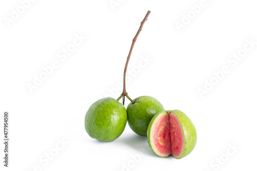 Common guava fruit cut isolated on white background photo