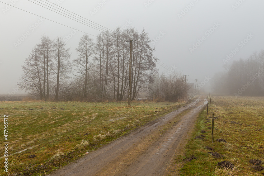 Rural landscape on a winter day. Poland. Rural landscape on a winter day. Poland.