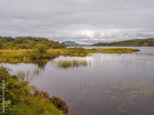 Very picturesque loch Fina on the Isle of Mull  Scotland  Uk