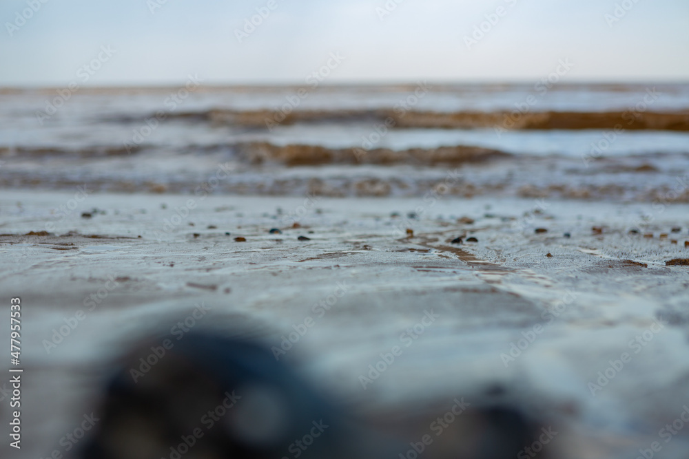 By the sea By the sea