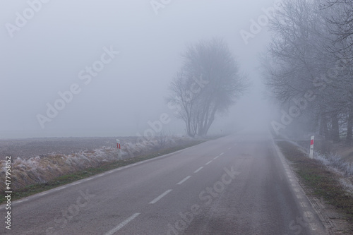 Rural landscape on a winter day. Poland.