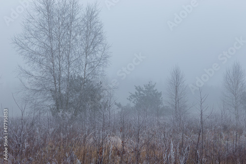 Rural landscape on a winter day. Poland.