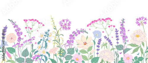 Seamless Border  with Blooming Garden Flowers