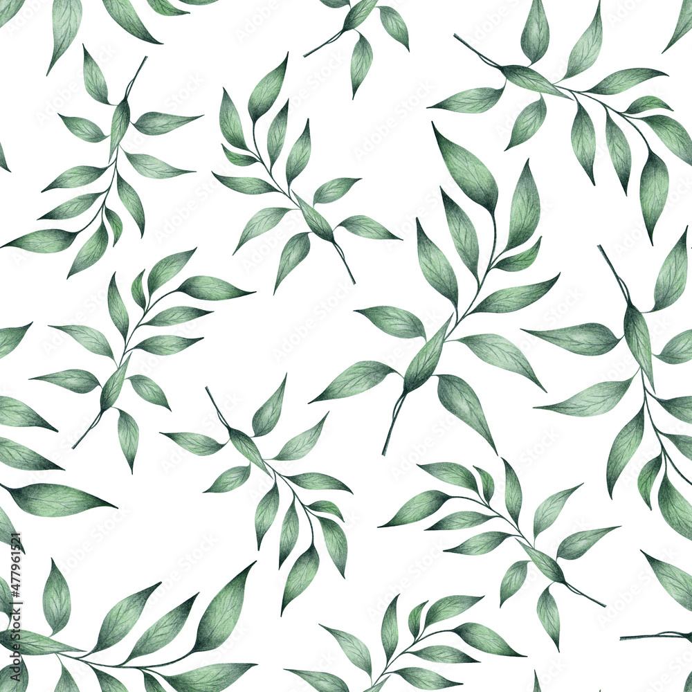 Seamless pattern of eucalyptus leaves.	