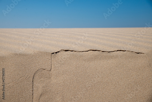 Fototapeta Naklejka Na Ścianę i Meble -  sand dune in the desert