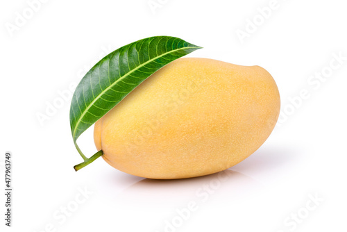 Mango with leaf isolated