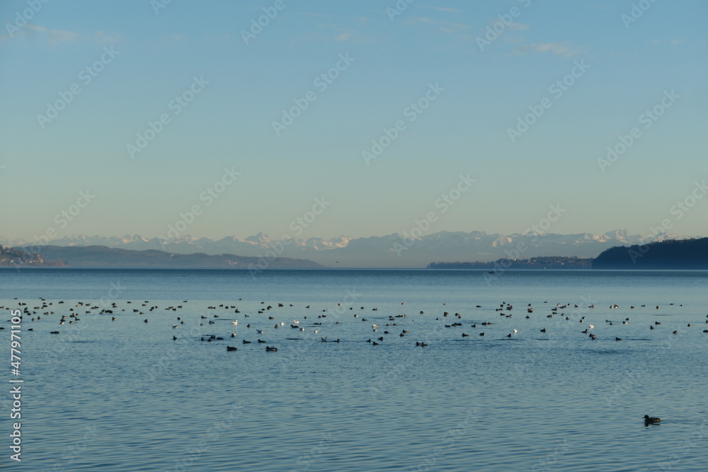 Naklejka premium Abendliche Winteridylle am Überlinger See