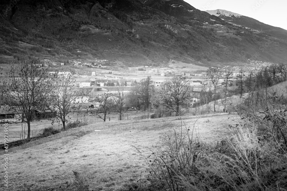 mountain agricultural landscape with overgrown green meadow in winter black and white