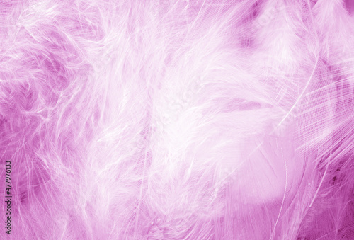 Purple feathers texture background - High resolution