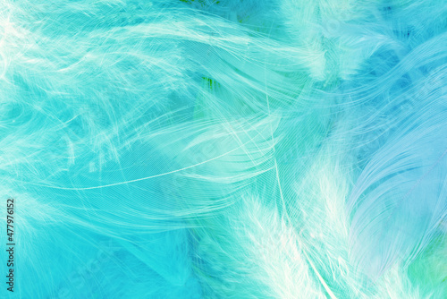 Blue feathers background - High resolution