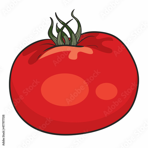 red appetizing tomato, isolated object on white background, cartoon illustration, vector,