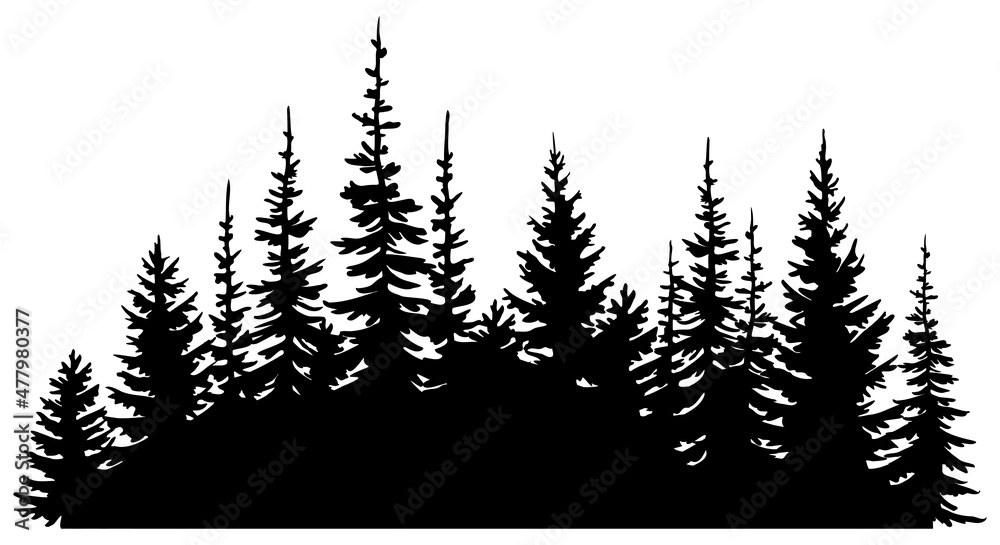 Fototapeta premium Hand drawn vector illustration. Black silhouettes of forest fir trees. Isolated object on white background.
