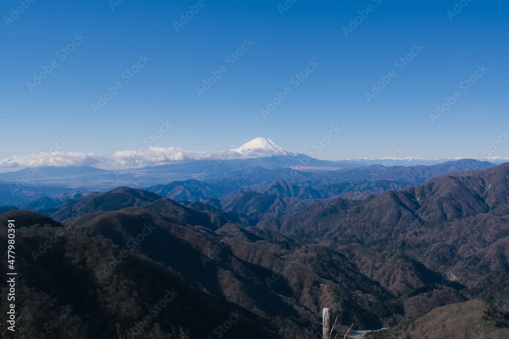 塔ノ岳より望む富士山