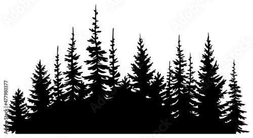 Hand drawn vector illustration. Black silhouettes of forest fir trees. Isolated object on white background.