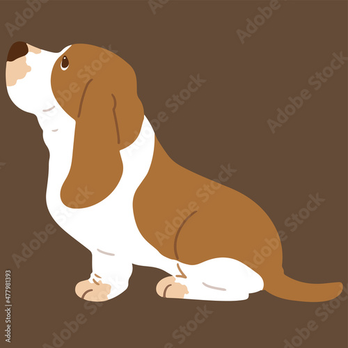 Simple and adorable flat colored illustration of Basset Hound sitting in side view