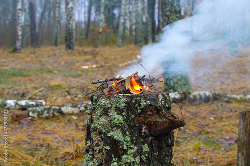 Bonfire in the forest on vacation. Fire hazard 