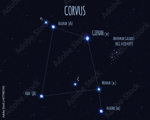 Corvus (The Raven) constellation, vector illustration with the names of basic stars against the starry sky