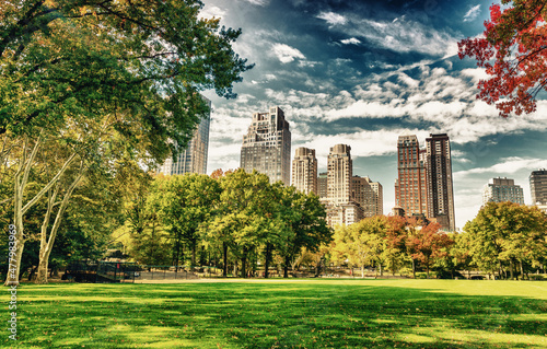 Beautiful foliage colors of New York Central Park