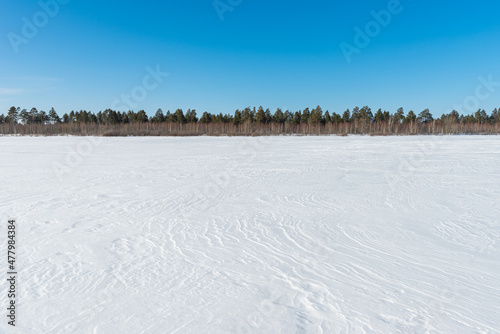 A large snowy field. Winter landscape