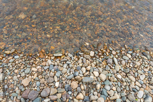 Wallpaper Mural Smooth round pebble texture background. Pebble beach close-up, wet pebbles and dry pebbles. Background Torontodigital.ca