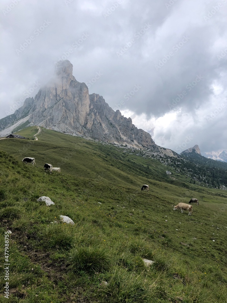 Fototapeta premium dolomites Alps travel. Smartphone photos