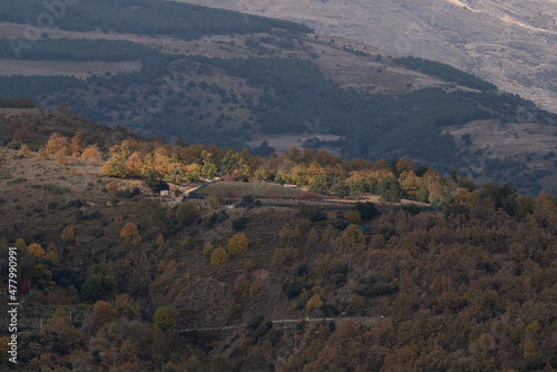 tree forest in Sierra Nevada in southern Spain © Javier