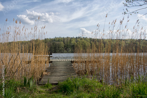 Fototapeta Naklejka Na Ścianę i Meble -  Mazury