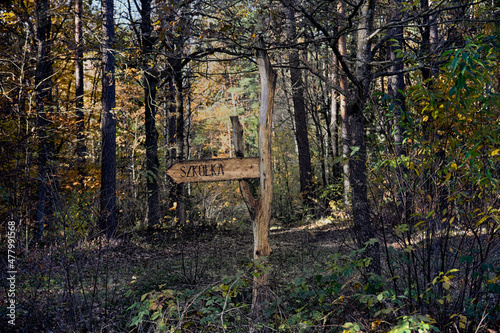 Fototapeta Naklejka Na Ścianę i Meble -  Mazury