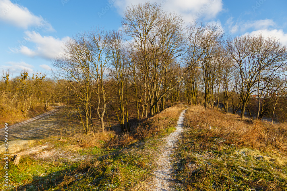 Fototapeta premium A path in the forest near the Fortress in Modlin. Nowy Dwor Mazowiecki, Poland.