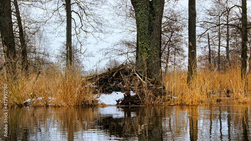 Fototapeta Naklejka Na Ścianę i Meble -  kajakowy spływ rzeką Pisą