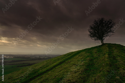 Beath Hill, Cowdenbeath, fife, Scotland looking towards dunfermline with single lone tree.