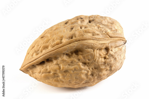 One walnut on a white background. Valuable fruit Juglans regia. The nut is isolated for quick selection.