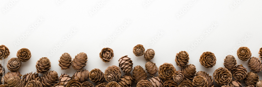 Dry brown cones isolated on white background. Closeup. Natural decorations. Empty place for text, quote or sayings. Wide banner. Top down view. Dry brown cones isolated on white background. Closeup. Natural decorations. Empty place for text, quote or sayings. Wide banner. Top down view.