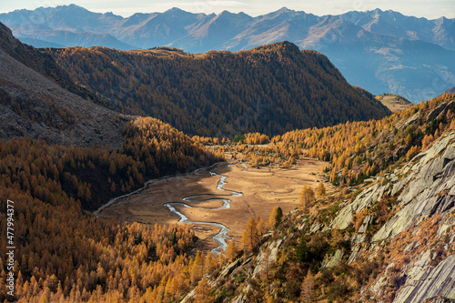 Il foliage autunnale a Preda Rossa, Val Masino, Sondrio