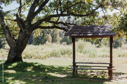 wooden picnic table on the oak tree meadow