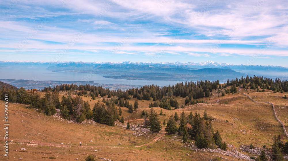 vue sur les Alpes depuis la Dôle
