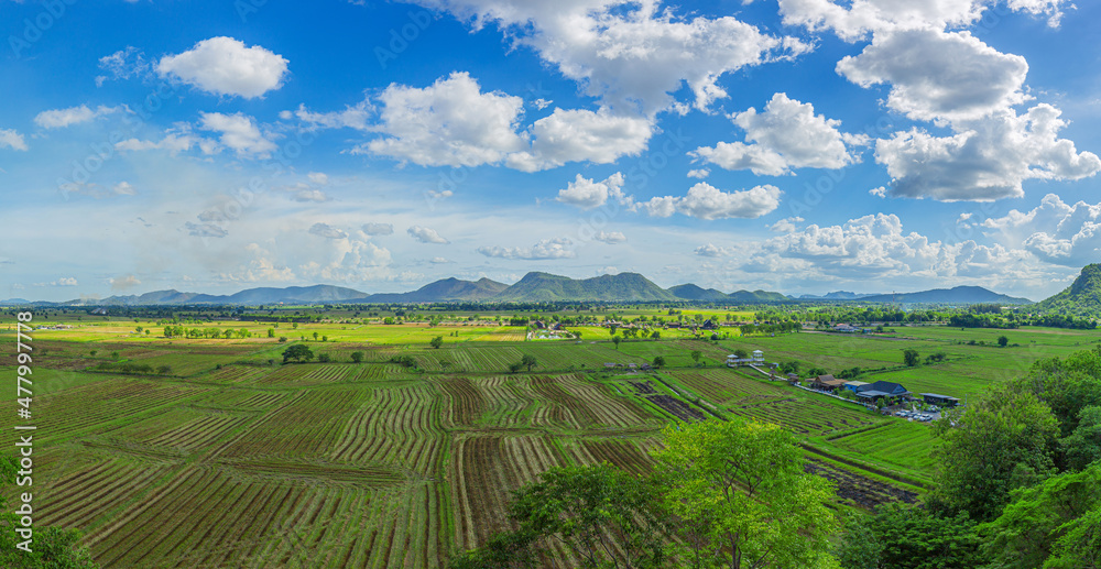 Rice Terrace Aerial Shot. Image of beautiful terrace rice field in Chiang Rai Thailand