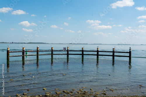 Walks along shoreline and beaches of Oesterschelde near Yerseke at low tide  Zeeland  Netherlands