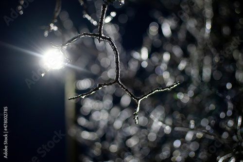 Branch covered with ice on the background of a lantern