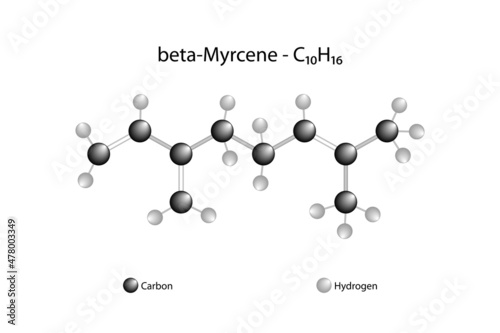 Molecular formula of myrcene. Myrcene is an alkene natural hydrocarbon.