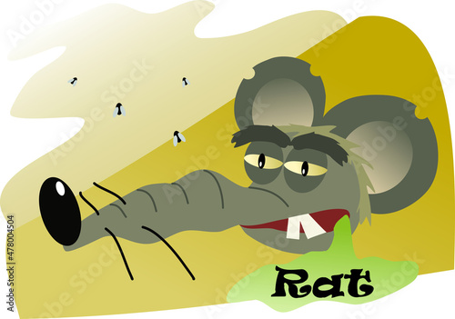 Big rat muzzle with cheese
