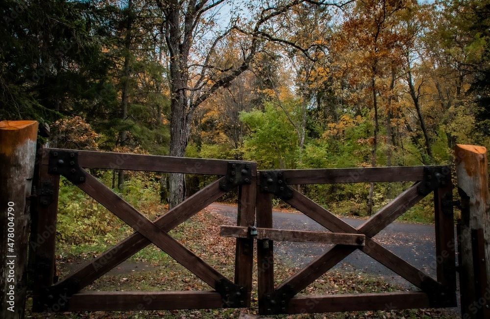 wooden gate in autumn